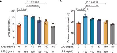 Protective role of Cecropin AD against LPS-induced intestinal mucosal injury in chickens